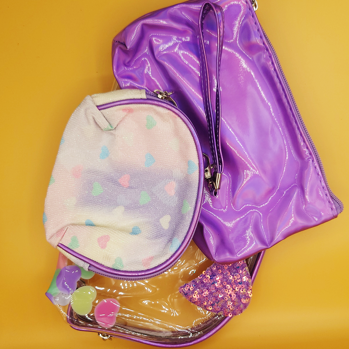 Cute Transparent Bag And Pouches 3 in 1