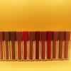 Artskin Velvet Lisglosses Set Of 12 Nude Colors
